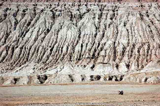 (北疆之五)吐鲁番的葡萄还没有熟,图五