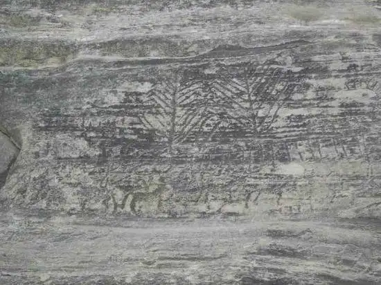 重走丝绸古道－－－兴地、营盘游记