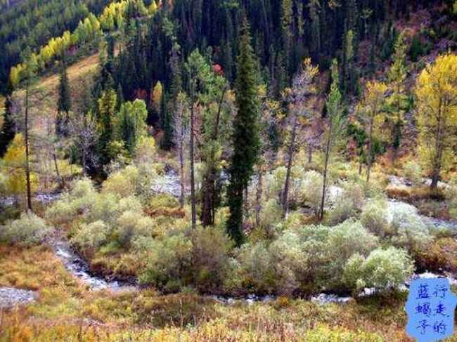 新疆圆舞曲4,图四