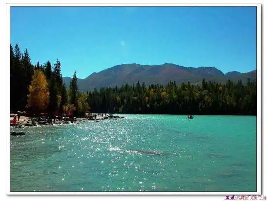 星光灿烂的喀纳斯湖