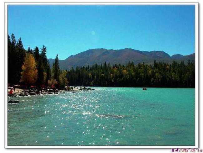 星光灿烂的喀纳斯湖,图十七