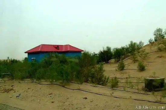 穿越塔克拉玛干（下）