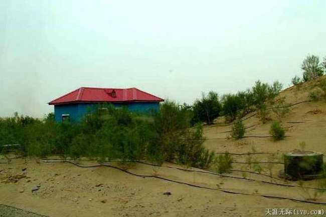 穿越塔克拉玛干（下）,图十