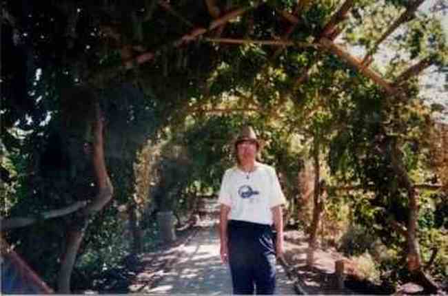 葡萄沟的阿拉尔罕,图一