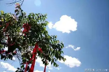 北疆自然揽胜之一:美若碧玉的天山明珠,图六