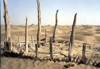 走进死亡之海，寻找“东方庞贝城”,图二