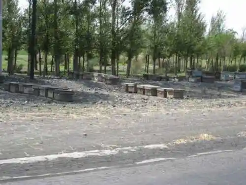 新疆，心无疆—中国新疆天山1号冰川、南山