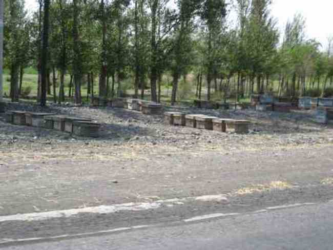 新疆，心无疆—中国新疆天山1号冰川、南山,图三