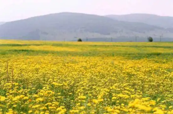 阿尔山，永远的回忆