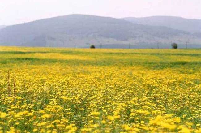 阿尔山,永远的回忆,图三