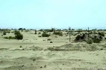 穿越塔克拉玛干（上）,图二十六