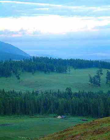 新疆盛宴—喀纳斯,图二