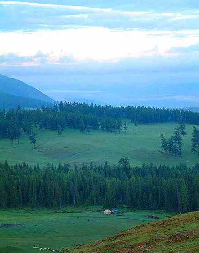 新疆盛宴—喀纳斯,图二