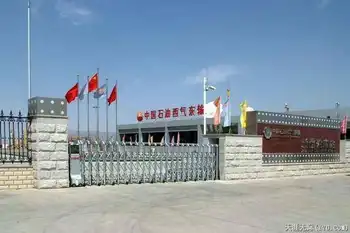 穿越塔克拉玛干（上）,图十