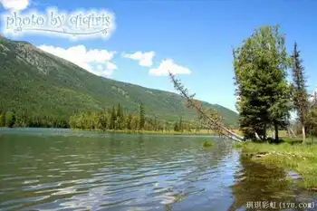 北疆自然揽胜之三：纯美翡翠喀纳斯,图十