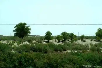 穿越塔克拉玛干（上）,图二十一