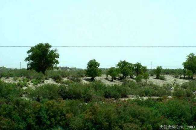 穿越塔克拉玛干(上),图二十一