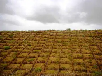 信马游“疆”D9——风雨兼程,图四