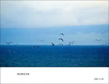 梦幻赛里木湖,图十一