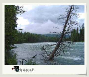 烟雨喀纳斯,图八