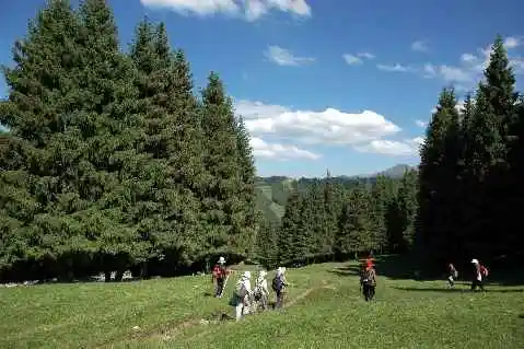 (北疆之六)南山牧场