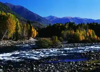 喀纳斯湖风光,图九