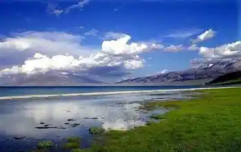 塞里木湖，花开时节,图四