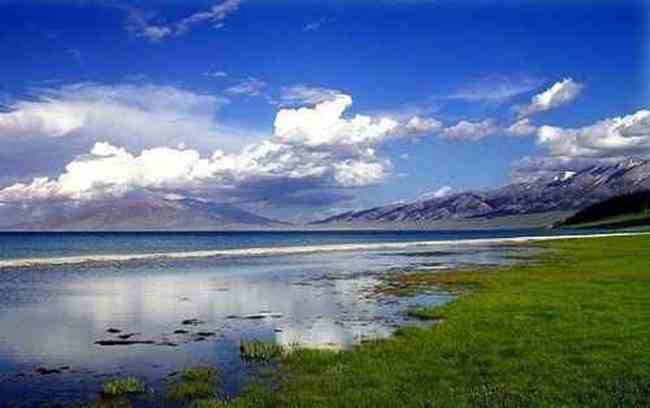 塞里木湖，花开时节,图四