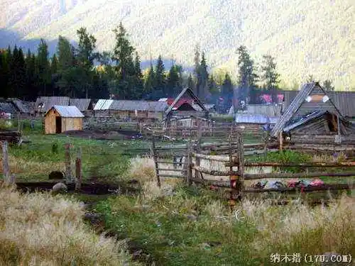 喀纳斯东线马帮探奇游(四)