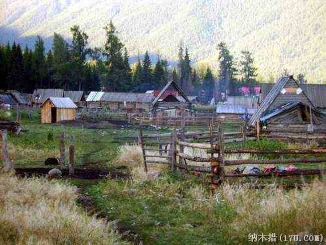 喀纳斯东线马帮探奇游(四),图四