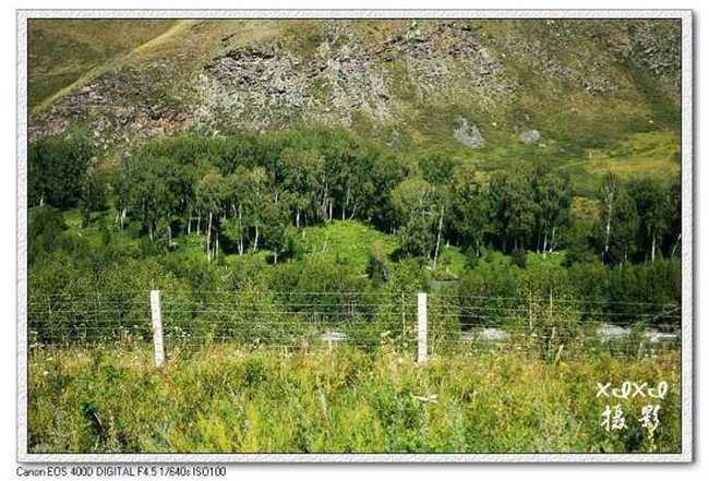 【走进新疆】站在中哈界碑上,图五