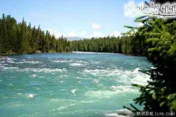 北疆自然揽胜之三：纯美翡翠喀纳斯,图八