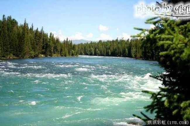 北疆自然揽胜之三：纯美翡翠喀纳斯,图八