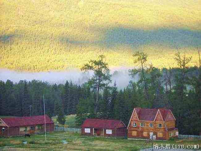 喀纳斯东线马帮探奇游(四),图一