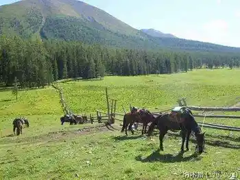 喀纳斯东线马帮探奇游(四),图九
