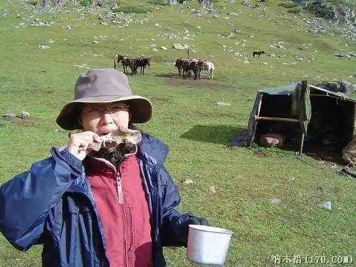 喀纳斯东线马帮探奇游(三)