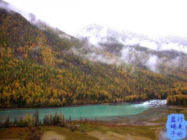 新疆圆舞曲6,图七