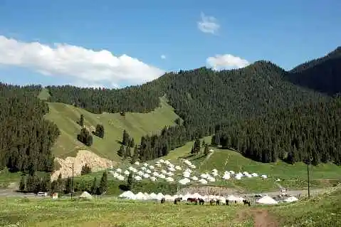 (北疆之六)南山牧场