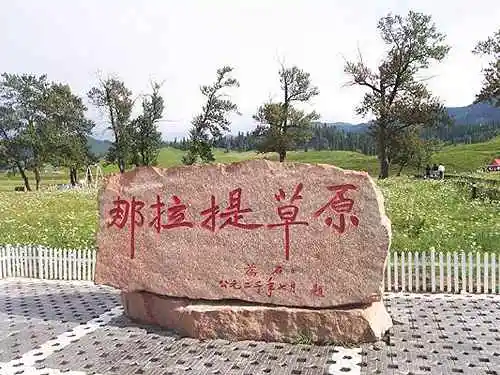 到青葱草原策马扬鞭