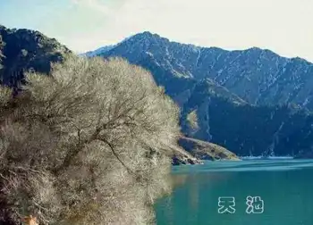 乌鲁木齐，开在心底的沙漠玫瑰……,图四