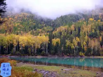 新疆圆舞曲6,图十三