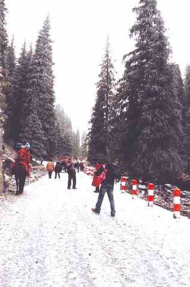 苍茫西北，我再难以忘情的地方！（四）,图一