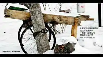 遗失在新疆（二）,图四