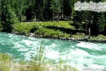 北疆自然揽胜之三：纯美翡翠喀纳斯,图五