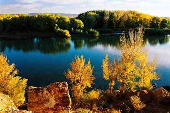 喀纳斯湖风光,图四