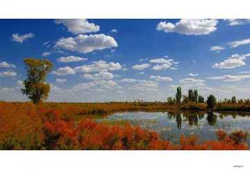 陶醉在塔里木河畔,图五