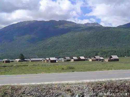 喀纳斯东线马帮探奇游(四)