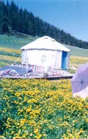 寻找梦中的毡房