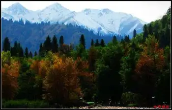 绿色伊犁的避暑胜地-厍尔德宁,图一