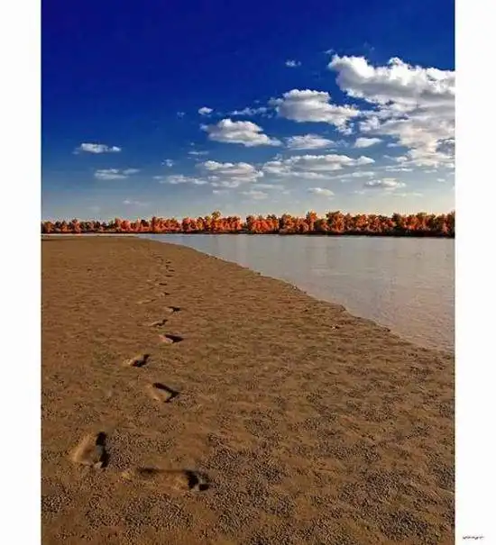 陶醉在塔里木河畔